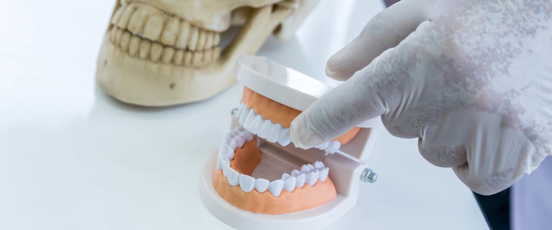 a Forensic Odontologist A Comprehensive Guide